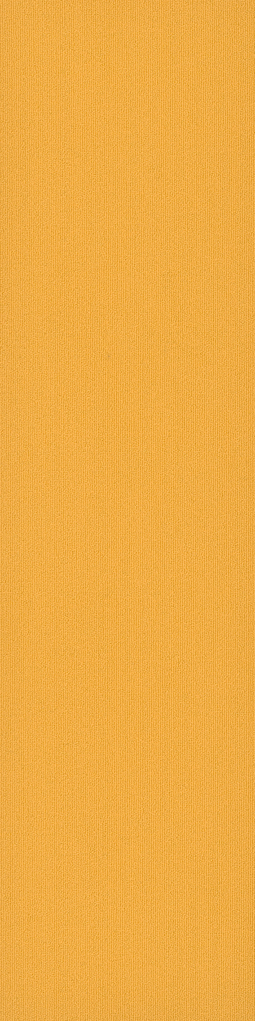 Pentz Commercial COLORBURST PLANK