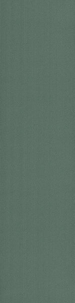 Load image into Gallery viewer, Pentz Commercial COLORBURST PLANK
