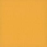 Load image into Gallery viewer, Pentz Commercial COLORBURST TILE
