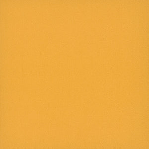 Pentz Commercial COLORBURST TILE