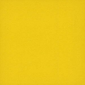Pentz Commercial COLORBURST TILE