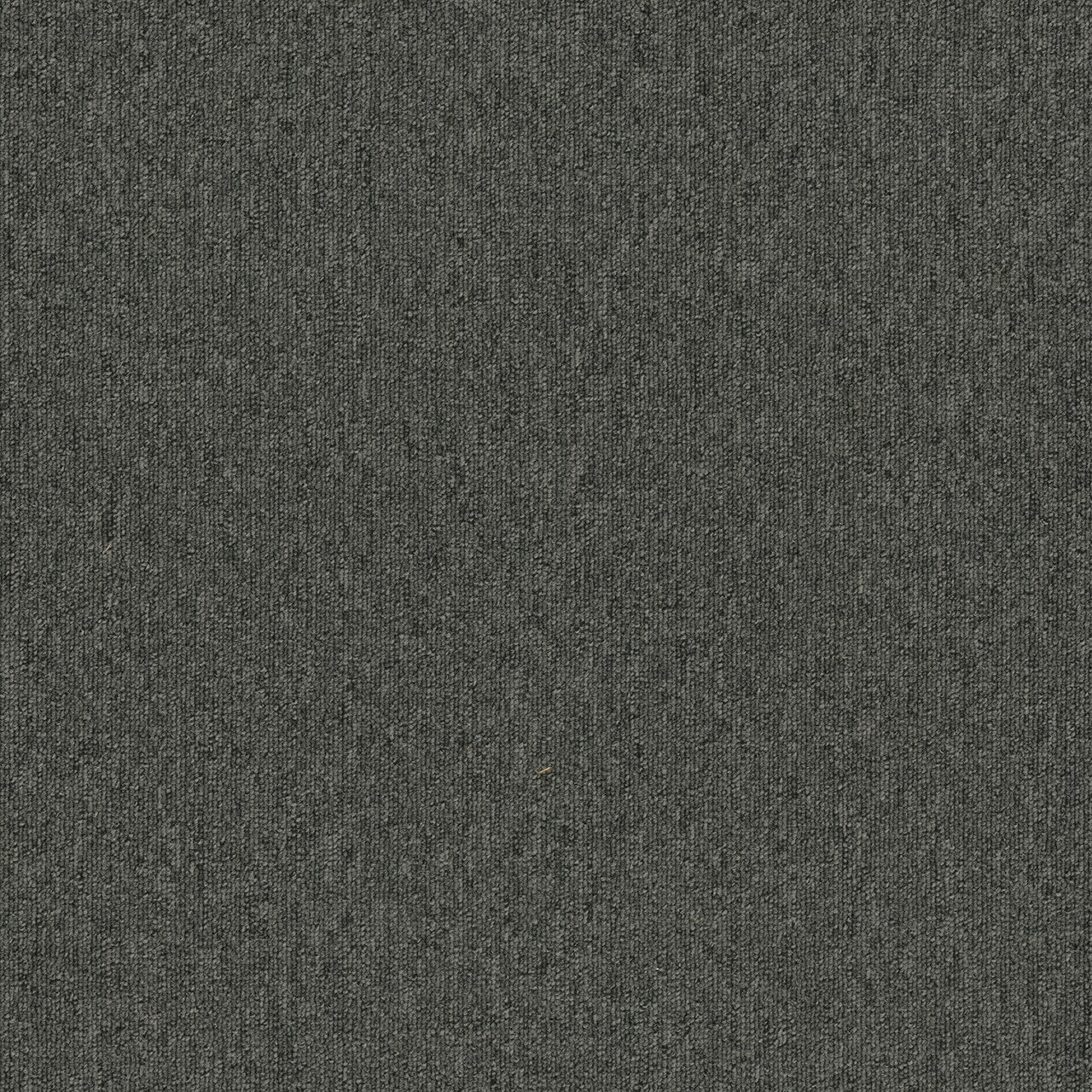 Pentz Commercial UPLINK 26 BROADLOOM