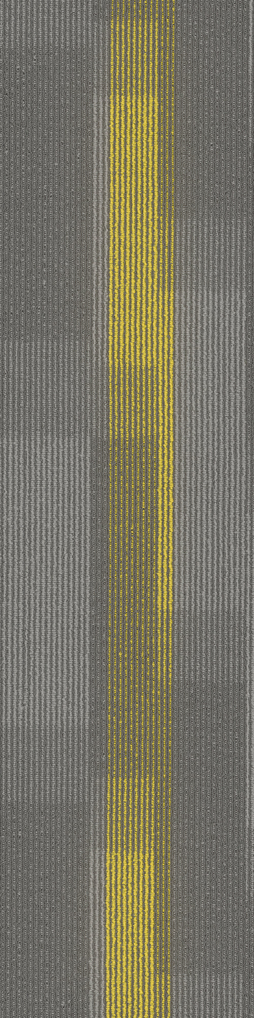 Pentz Commercial AMPLIFY PLANK