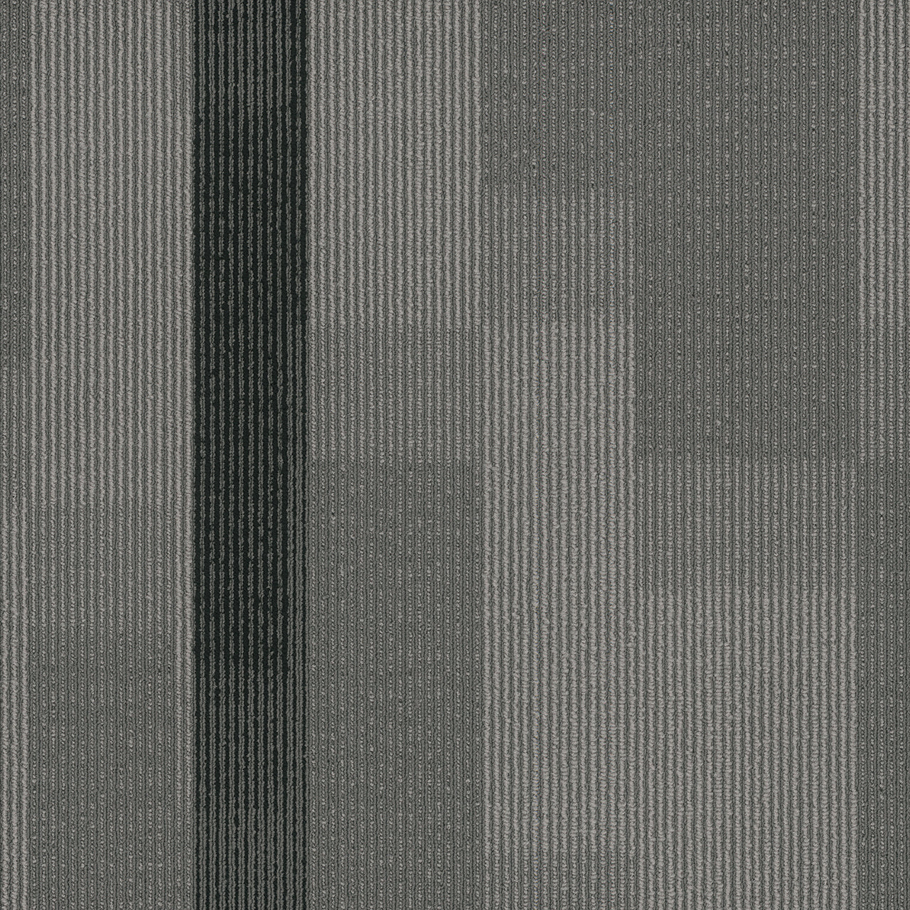 Pentz Commercial AMPLIFY TILE