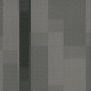 Pentz Commercial AMPLIFY TILE