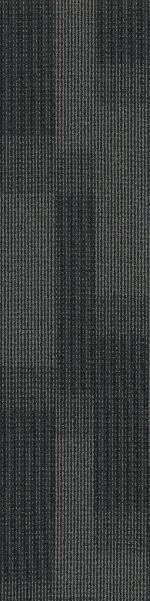Pentz Commercial MAGNIFY PLANK
