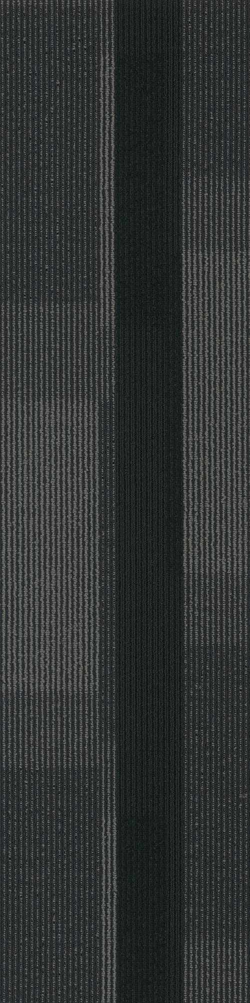 Pentz Commercial MAGNIFY PLANK