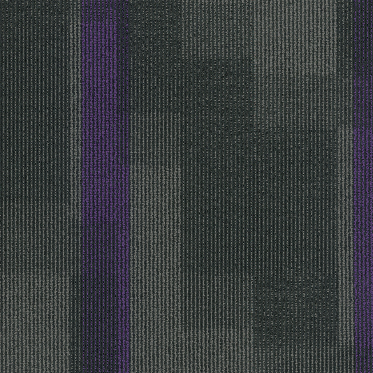 Pentz Commercial MAGNIFY TILE