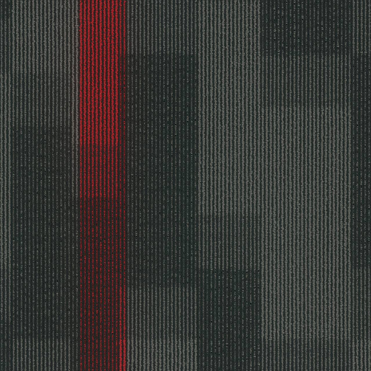 Pentz Commercial MAGNIFY TILE