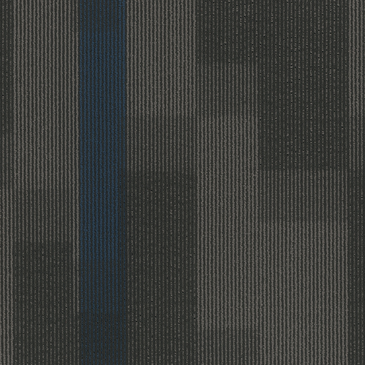 Pentz Commercial MAGNIFY TILE