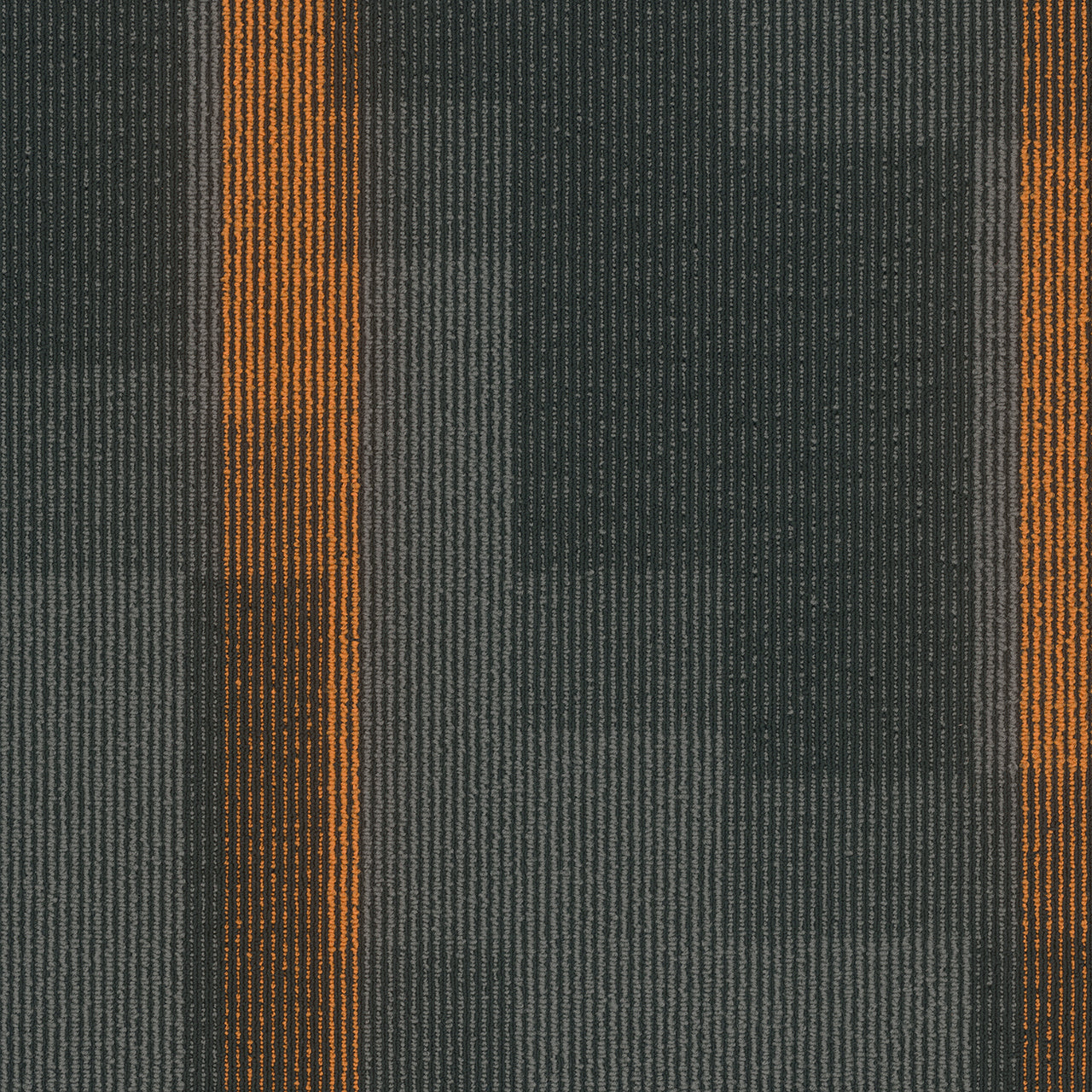 Pentz Commercial MAGNIFY TILE