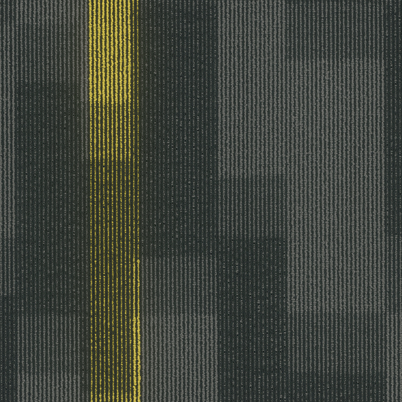 Pentz Commercial MAGNIFY TILE