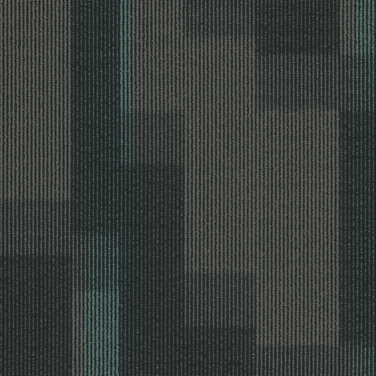Pentz Commercial MAGNIFY TILE