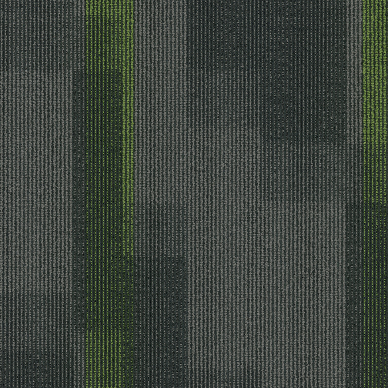 Pentz Commercial MAGNIFY TILE