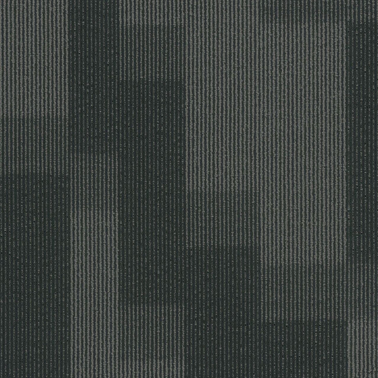 Pentz Commercial MAGNIFY TILE