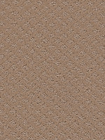 Load image into Gallery viewer, Dream Weaver MARQUIS
