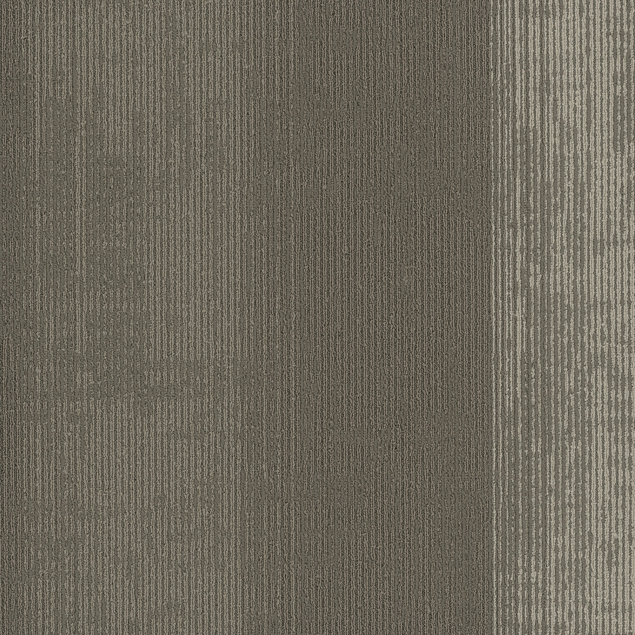 Pentz Commercial UNIVERSE TILE