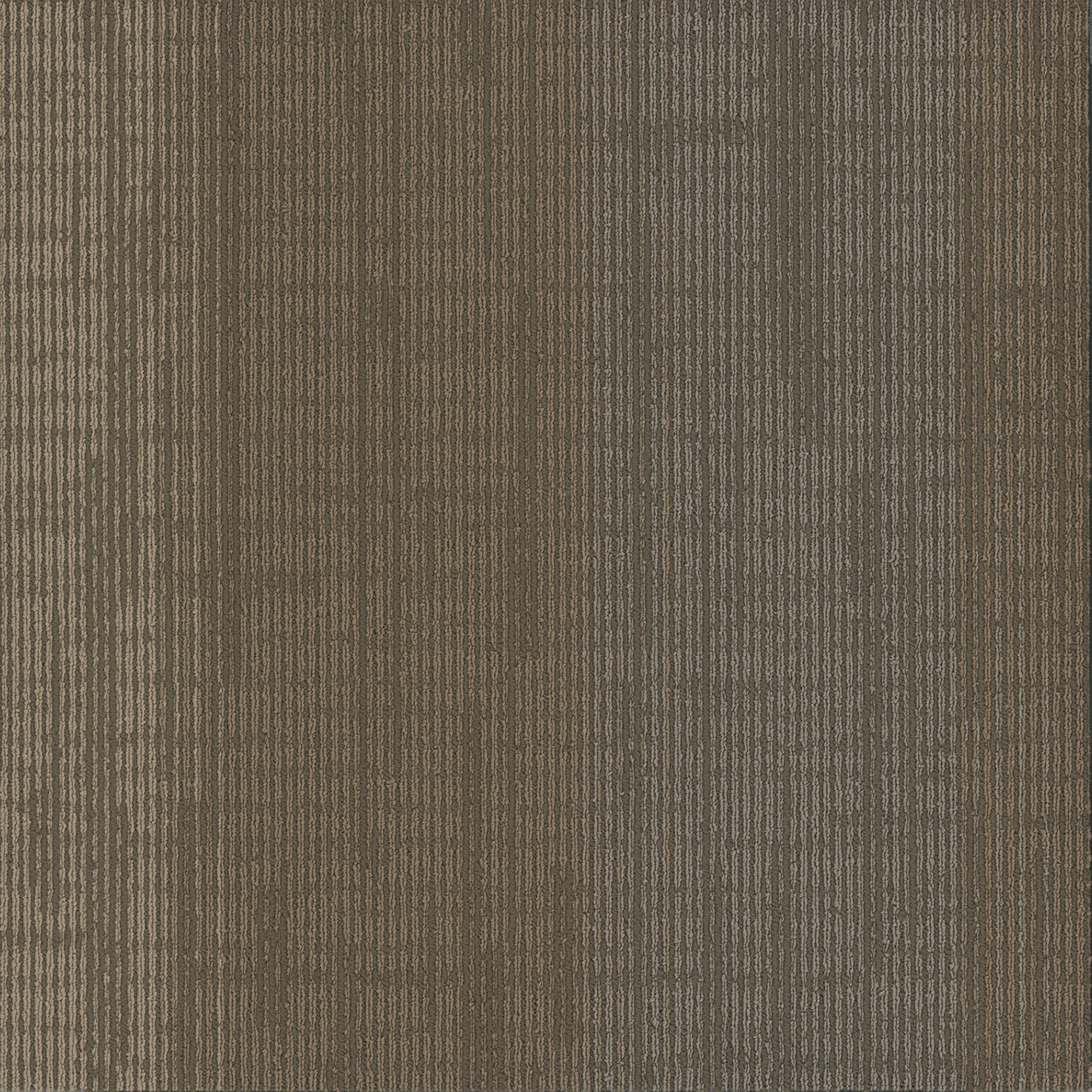Pentz Commercial ELEMENT TILE