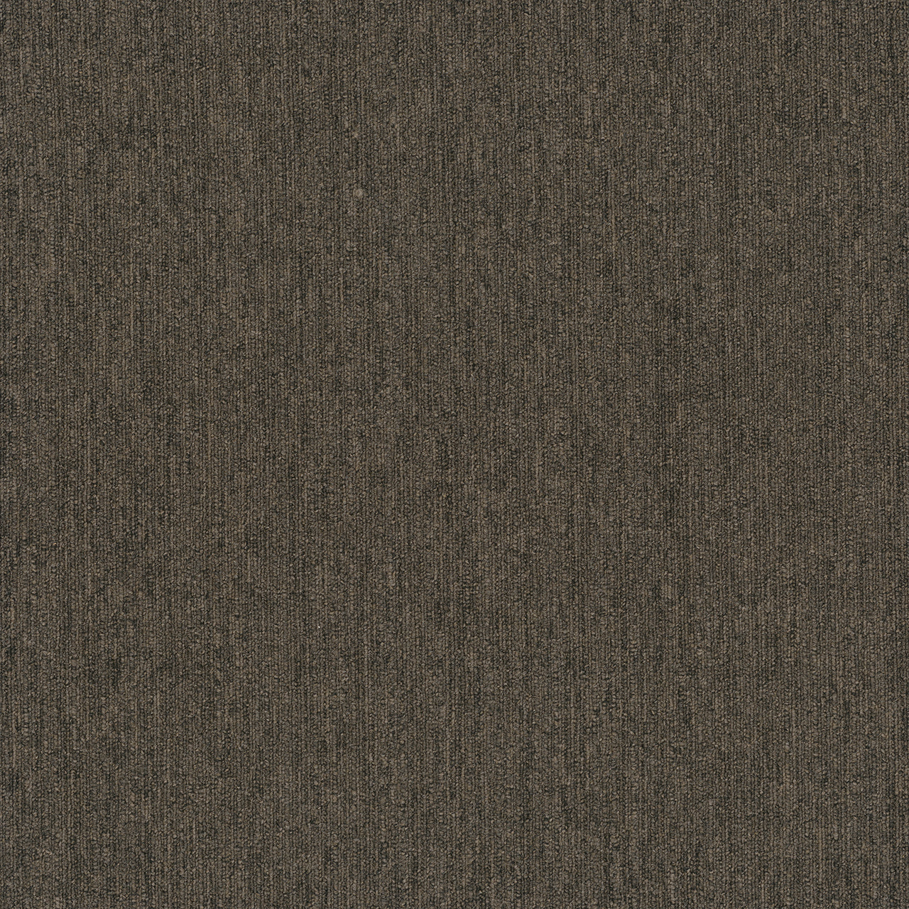 Pentz Commercial COLORPOINT TILE