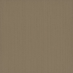 Pentz Commercial COLORPOINT TILE
