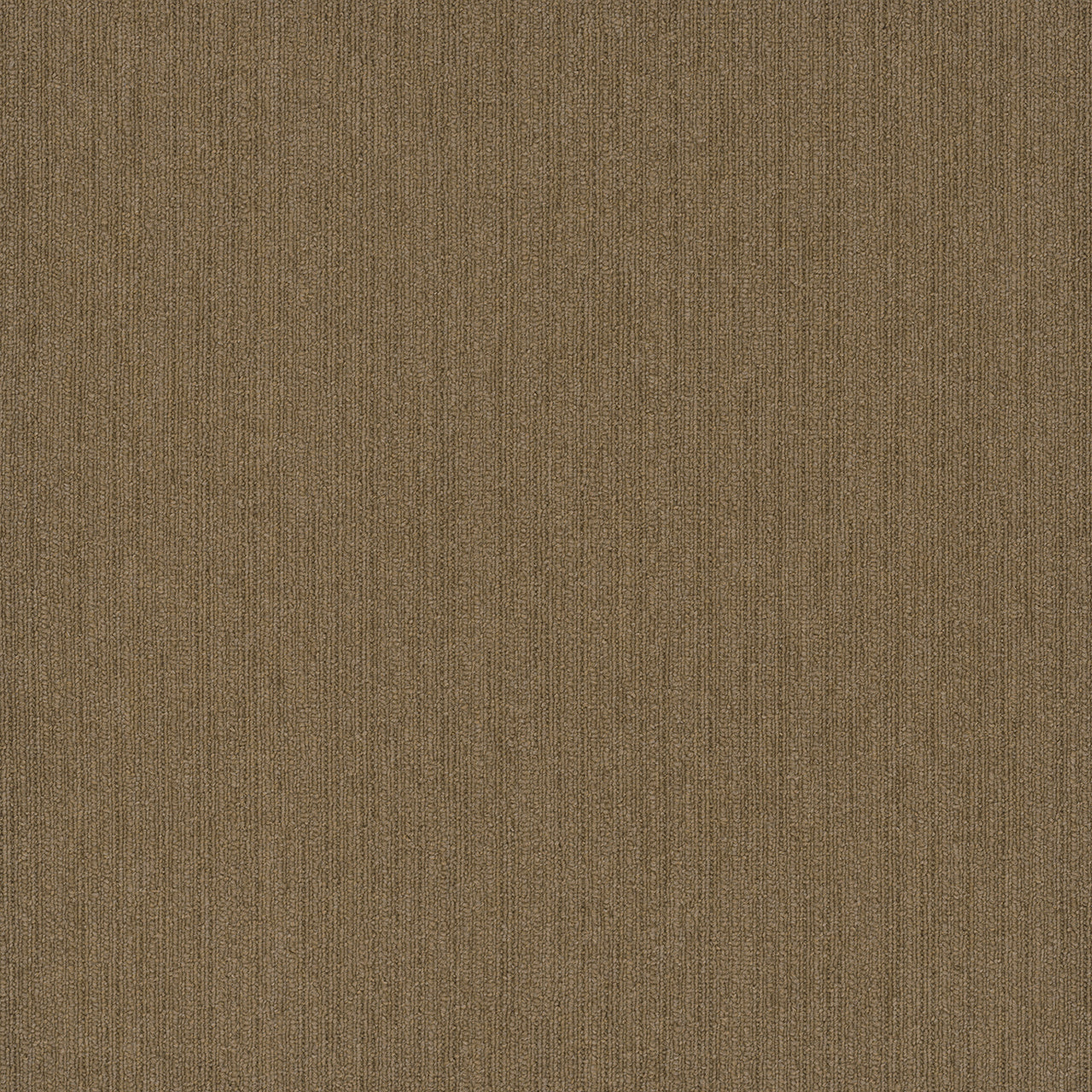 Pentz Commercial COLORPOINT TILE
