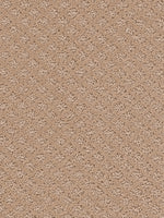 Load image into Gallery viewer, Dream Weaver MARQUIS
