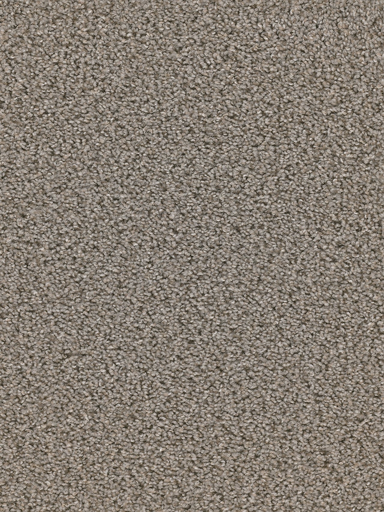 Dwellings GROUNDWORK