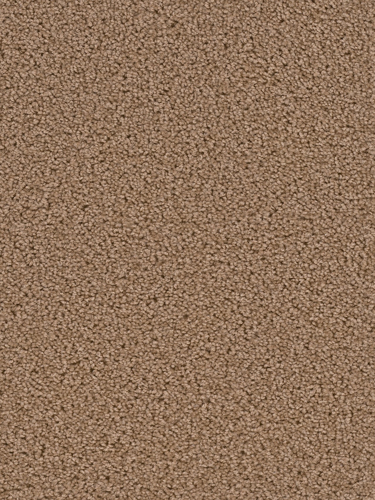 Dwellings GROUNDWORK