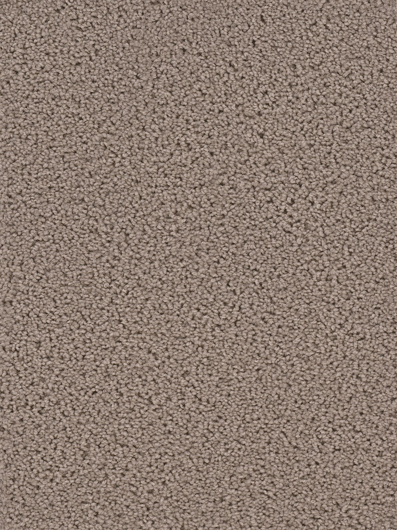 Dwellings GROUNDWORK