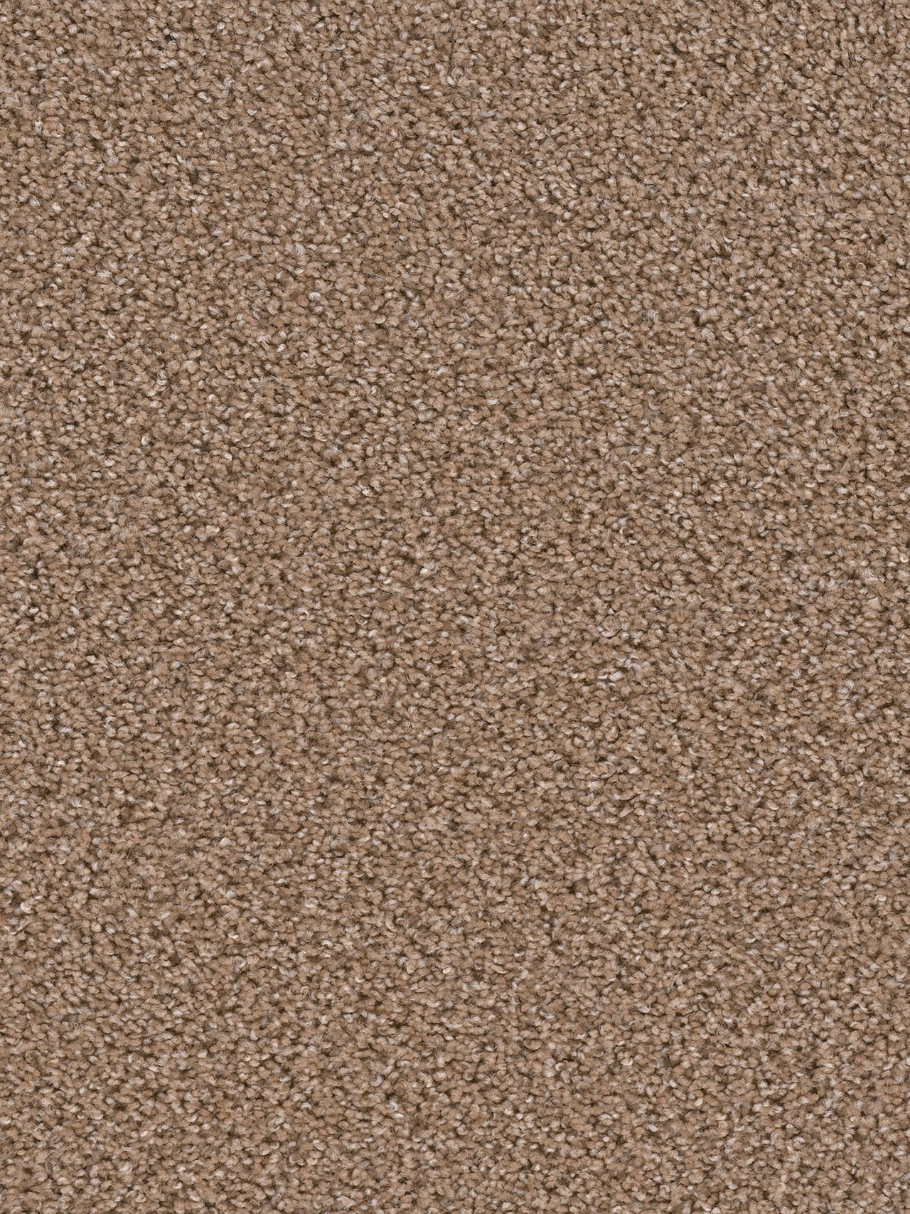 Dwellings GROUNDWORK