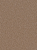 Load image into Gallery viewer, Dwellings GROUNDWORK
