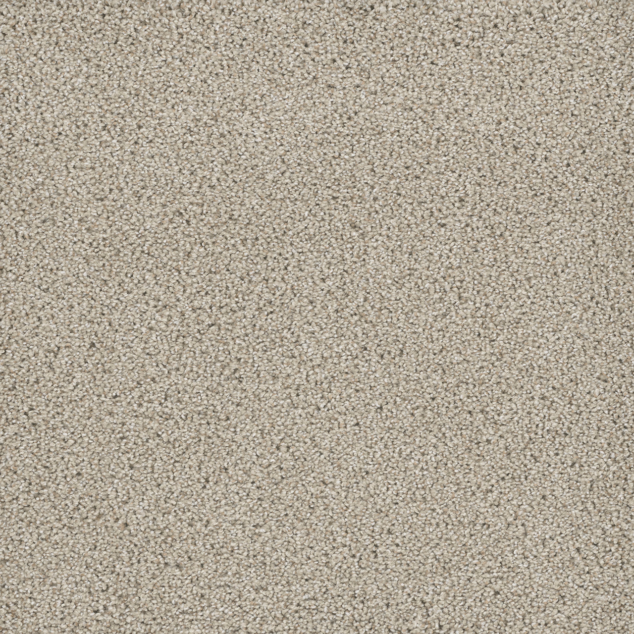 Dream Weaver POSH I