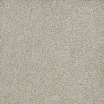 Load image into Gallery viewer, Dream Weaver POSH II
