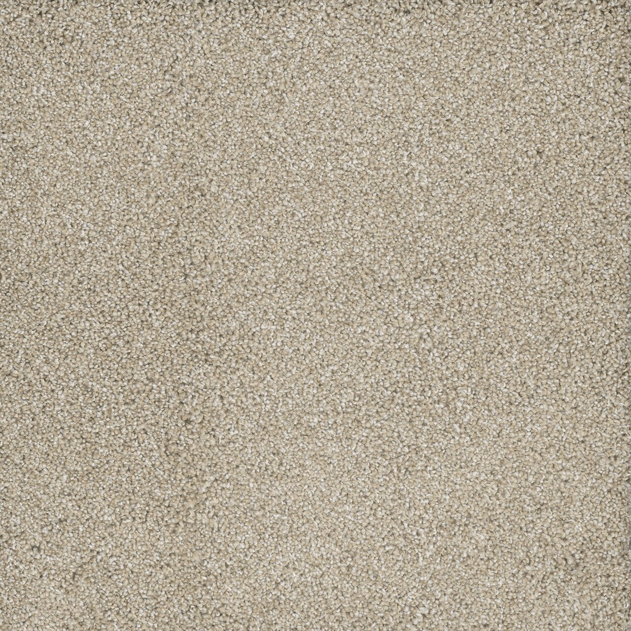 Dream Weaver POSH II