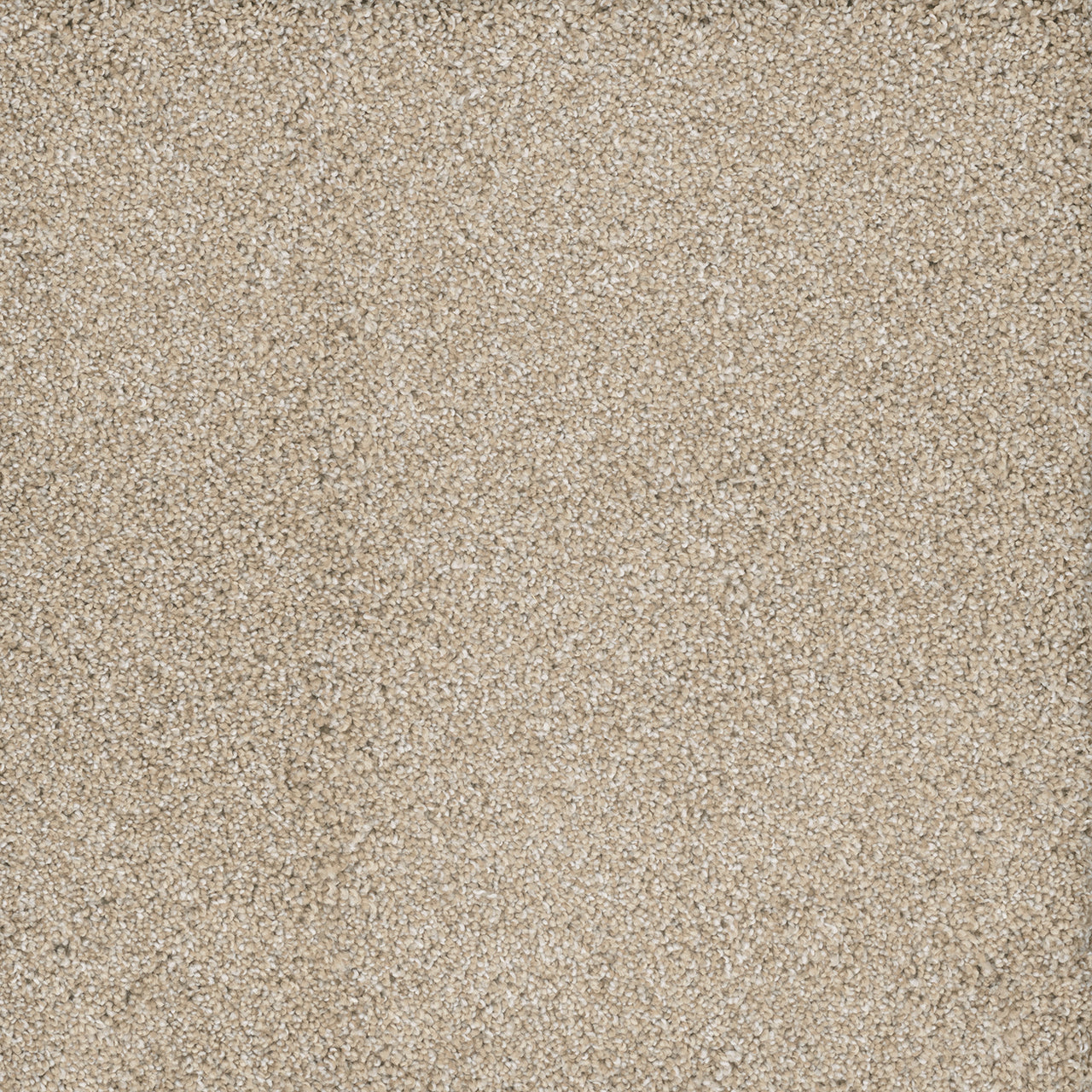 Dream Weaver POSH I
