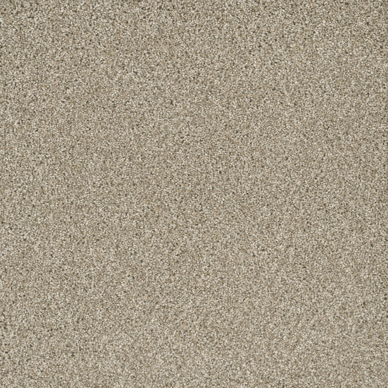 Dream Weaver POSH II