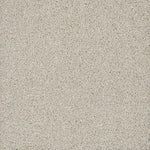 Load image into Gallery viewer, Dream Weaver POSH II
