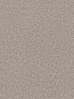 Load image into Gallery viewer, Dwellings GROUNDWORK PLUS
