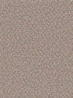 Load image into Gallery viewer, Dwellings GROUNDWORK PLUS
