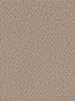 Load image into Gallery viewer, Dwellings GROUNDWORK PLUS
