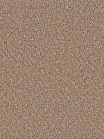 Load image into Gallery viewer, Dwellings GROUNDWORK PLUS

