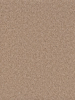 Load image into Gallery viewer, Dwellings GROUNDWORK PLUS
