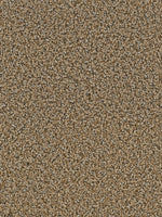 Load image into Gallery viewer, Dwellings DONNELLY

