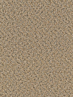 Load image into Gallery viewer, Dwellings DONNELLY
