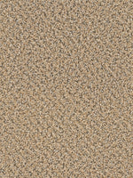 Load image into Gallery viewer, Dwellings DONNELLY
