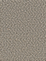 Load image into Gallery viewer, Dwellings DONNELLY PLUS
