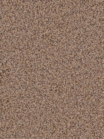 Load image into Gallery viewer, Dwellings GRAND PRAIRIE
