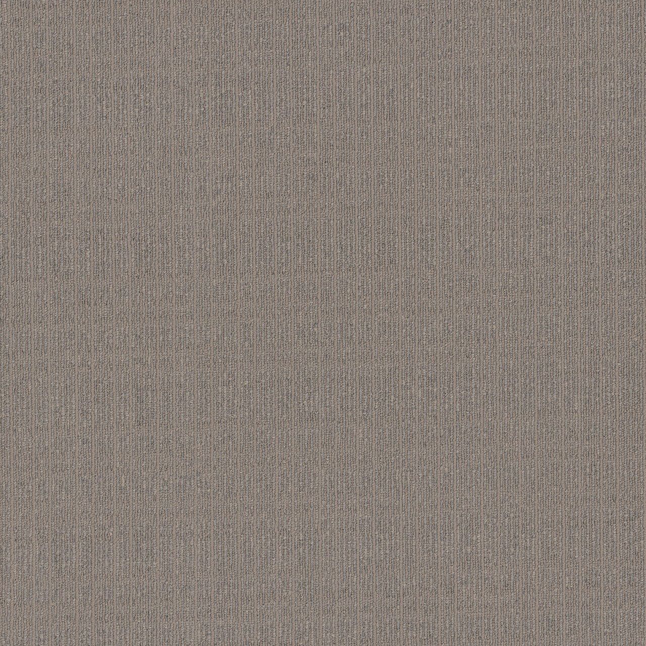 Pentz Commercial OASIS BROADLOOM