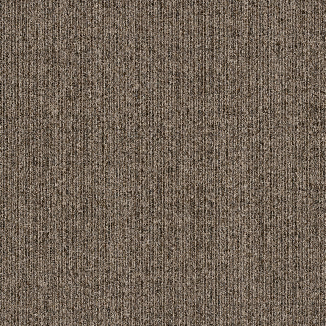 Pentz Commercial OASIS BROADLOOM