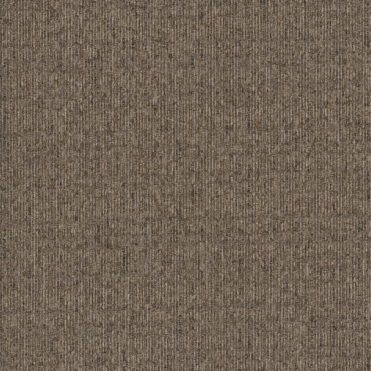 Pentz Commercial OASIS BROADLOOM